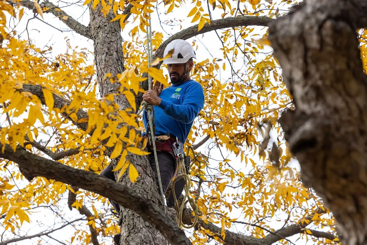 Skilled Storm Damage Cleanup crew working in Spencer